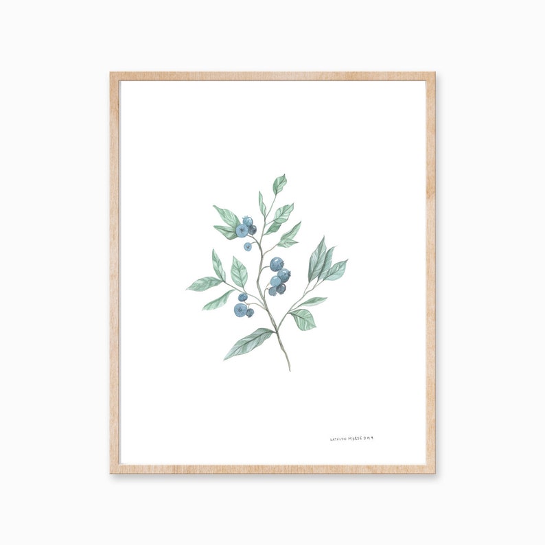 Blueberry Print, Plant Print, Vintage Botanical Art, Blueberry Art, Minimal Plant Decor, Foliage Art, Fruit Print, Farmhouse Print image 1