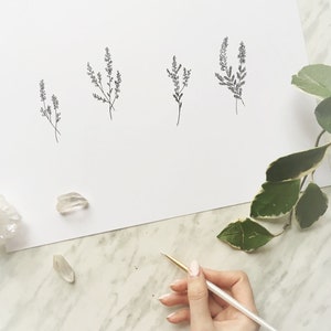 May include: A white sheet of paper with four simple black line drawings of sprigs of heather. A hand holds a paintbrush over the paper, with a few white crystals scattered around the paper.