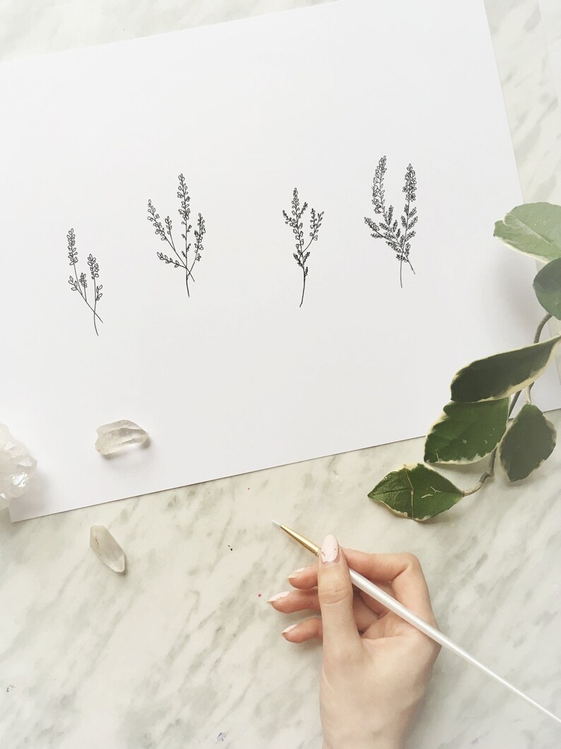 May include: A white sheet of paper with four simple black line drawings of sprigs of heather. A hand holds a paintbrush over the paper, with a few white crystals scattered around the paper.