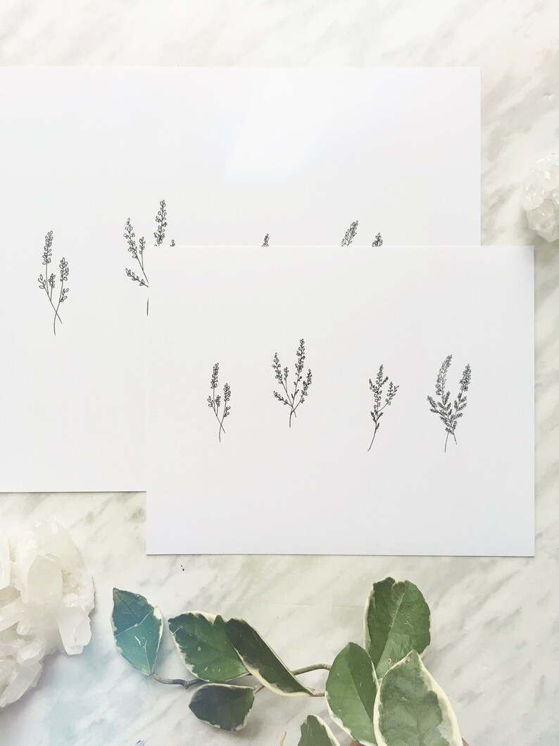 May include: Two white pieces of paper with simple black line drawings of sprigs of flowers. The drawings are on the top half of the paper, and the bottom half is blank.