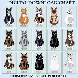 May include: A digital needlepoint download chart featuring fifteen pixelated cat portraits in a grid. Each cat has a unique color pattern and a name printed below it, including Gerald, Patrick, Erica, Alice, Ryder, Mabel, Pierre, Ruby, Gatsby, Draco, Suki, Oliver, Salem, Duchess, and Cairo.