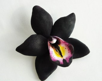 Download Black Orchid Flower Etsy