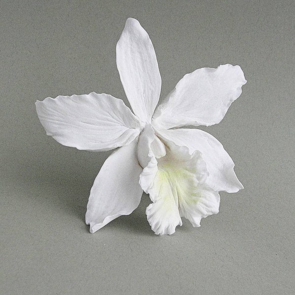 Cattleya Orchid Wedding Hair Clip, White Cattleya Bridal Hair Clip, White Orchid Wedding Hair Barrette, White Tropical Orchid Hairpiece