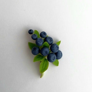 May include: A cluster of dark blue blueberries with green leaves, arranged in a sprig-like shape.