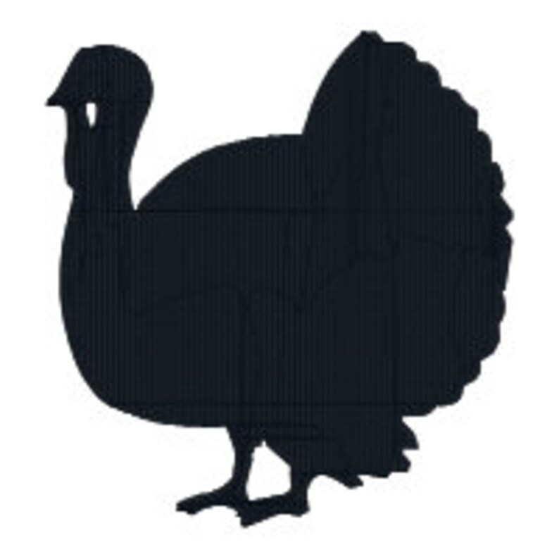 Thanksgiving for children