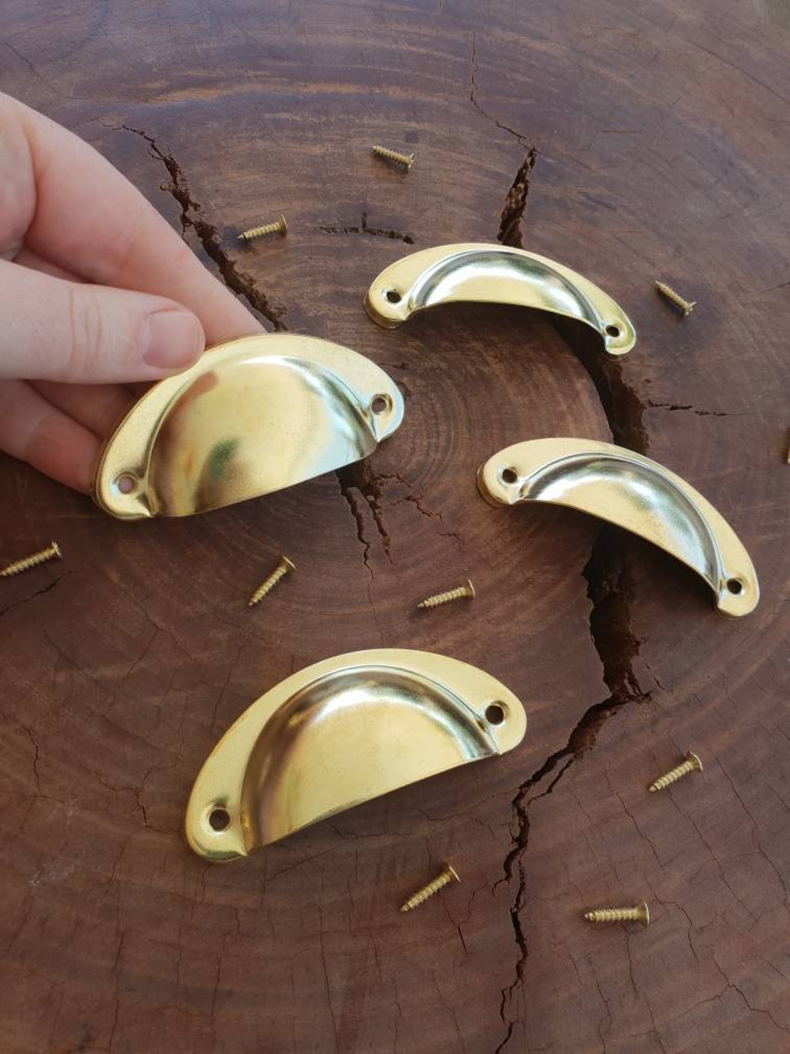 Tirador de la manija del cajón de metal Concha de la taza | Etsy