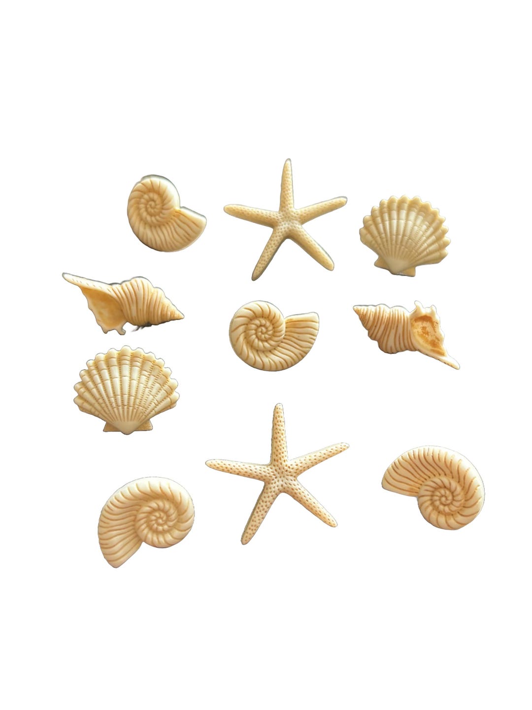 Seashell Buttons Collection Beach Beauties Shank Flat Back Choice Set ...