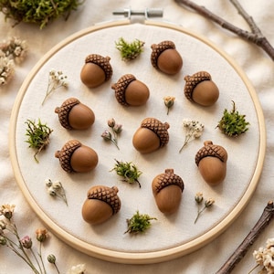 May include: A circular wooden embroidery hoop containing a light beige fabric background. Eleven small, smooth, brown wooden acorns with textured caps are arranged across the fabric, interspersed with small sprigs of green moss and dried white flowers.