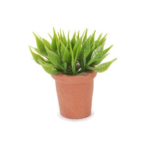 Miniature House Plant Dollhouse Home Decor Miniatures Terracotta Pot SMALL - 422