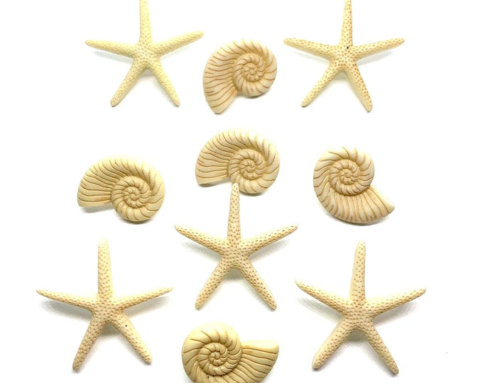 Sea Shell Beach Beauties Collection Buttons Shank Flat Back Choice Set ...