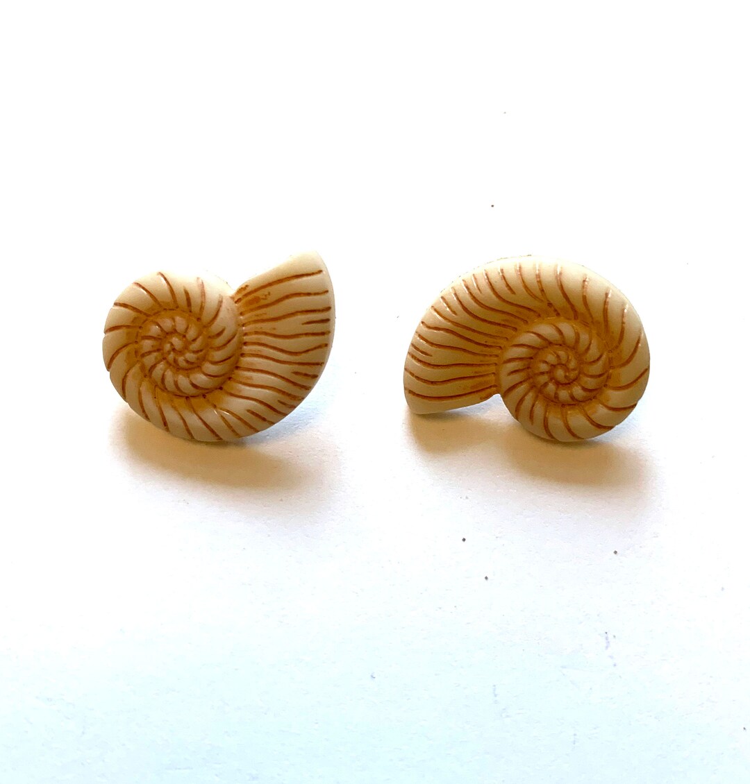 Snail Seashells Buttons Nautilus Beach Beauties Shank Flat Back Choice ...