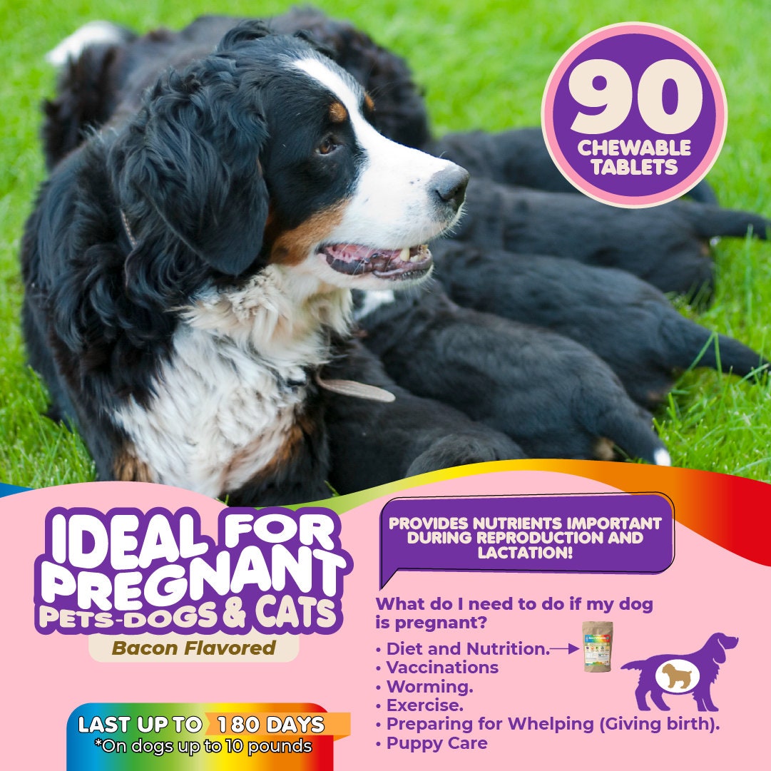 Multivitamin for Dogs and Cats. Prenatal Dog Vitamins, Minerals and Amino Acids. Senior Dog