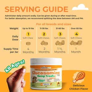 Puede incluir: Un bote blanco de "Glucosamine Hemp Treats" para perros, con una gu&iacute;a de servicio. El bote contiene 120 golosinas blandas con sabor a pollo. La etiqueta incluye "Advanced Support" y "Hip & Joint". Una mano sostiene una golosina.