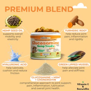 Puede incluir: Anuncio de golosinas para perros. La imagen presenta un envase de "Glucosamine Hemp Treats" con ingredientes de apoyo como aceite de semilla de c&aacute;&ntilde;amo, ra&iacute;z de c&uacute;rcuma y mejill&oacute;n de labio verde. El texto destaca los beneficios para la salud de las articulaciones.