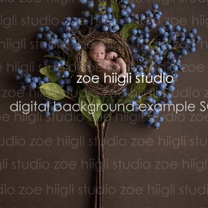 Neugeborene digitale Kulisse, digitaler Hintergrund, Blumen, Baby Junge, Baby Mädchen, digitale Requisite, Digitale Fotografie Hintergrund, Blaubeeren