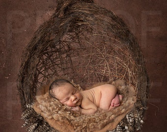 Rustic Boho Dreamcatcher Newborn Photography Digital Backdrop (Digital Download)