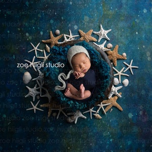 May include: A newborn baby wearing a white knitted hat and a navy blue outfit is sleeping in a teal blue basket surrounded by white and gold starfish and seashells on a blue background. The text "zoe hiigli studio" is visible in the image.