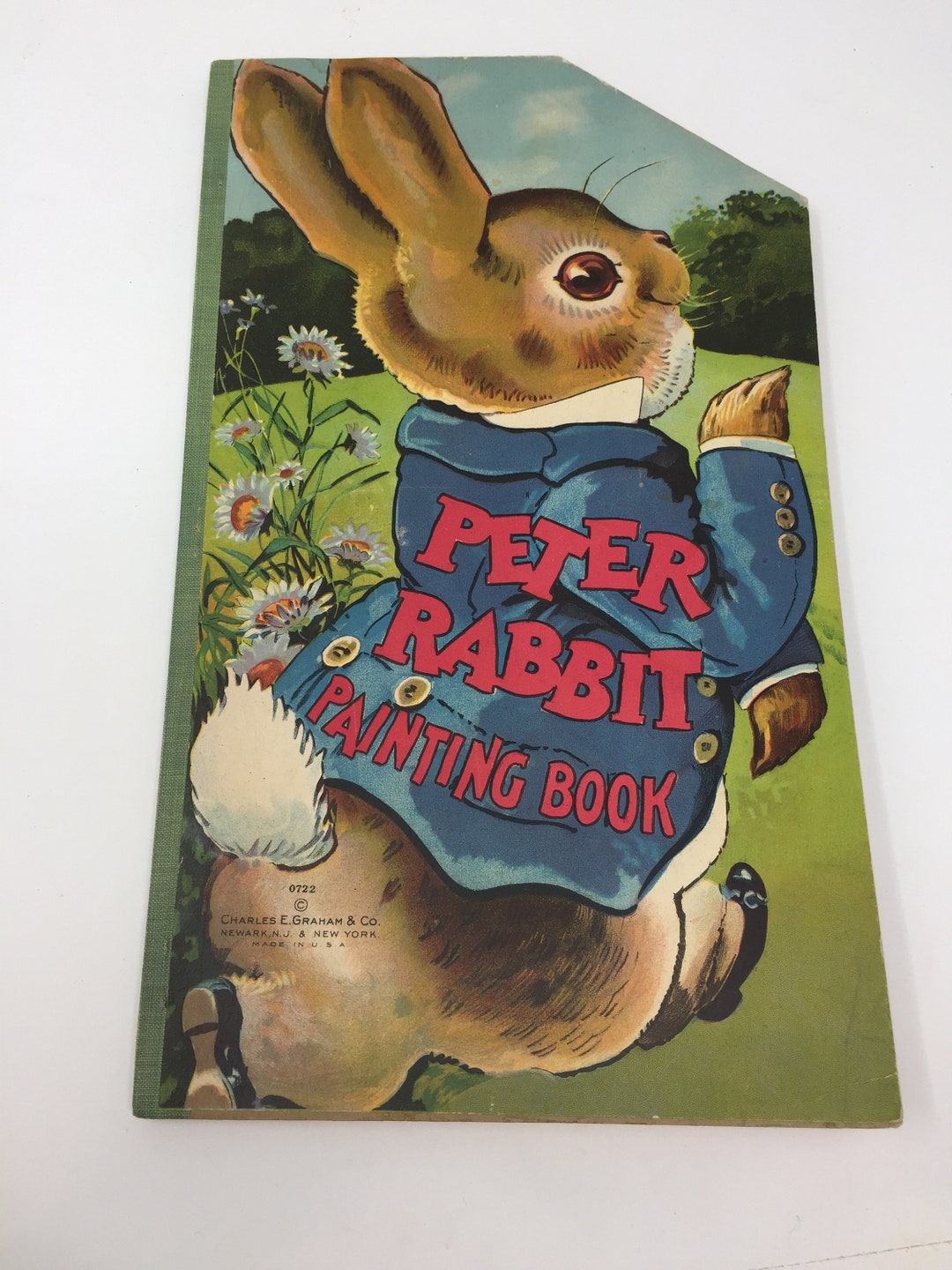 Antique Peter Rabbit Painting Book, Charles Graham Publisher, Never