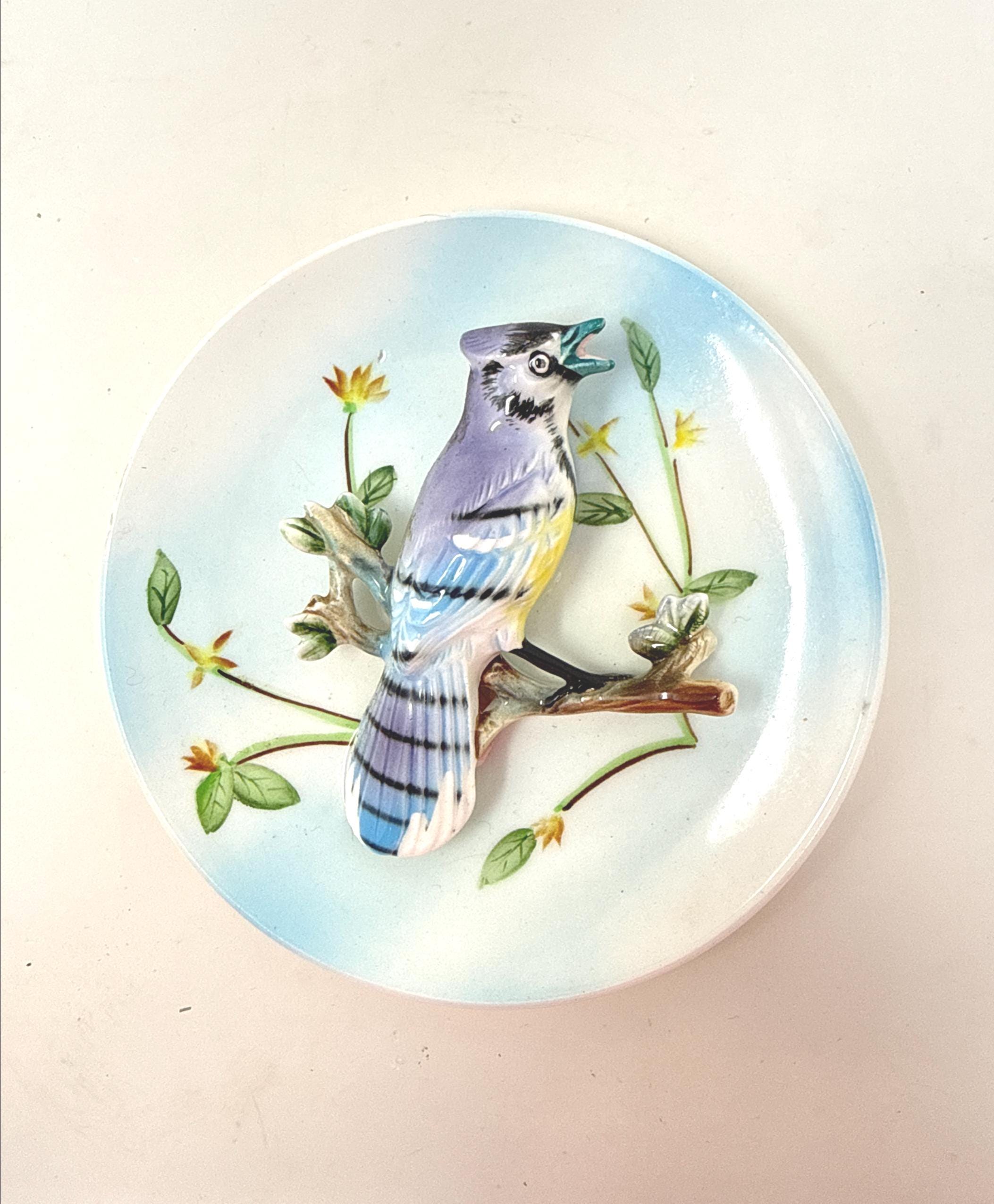 Japan Blue Jay - Etsy