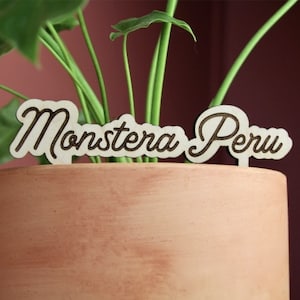 Personalized Houseplant Care Tags For Indoor Plants