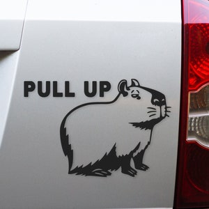 Capybara Bumper Sticker - Pull Up Capybara Vinyl Decal for Car, Truck, SUV