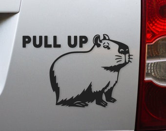Capybara Bumper Sticker - Pull Up Capybara Vinyl Decal for Car, Truck, SUV