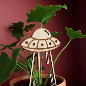 UFO Indoor Zimmerpflanzen Rankgitter oder Dekoration - Cooles Pflanzengitter für Zimmerpflanze - Zimmerpflanzen Dekoration für Blumentöpfe, Pflanzenständer