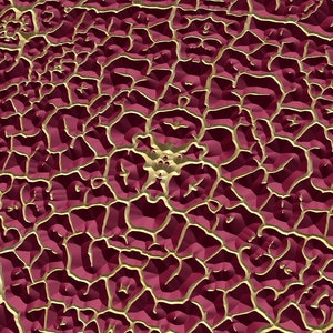 DRY1 Seamless Pattern for V-Carving
