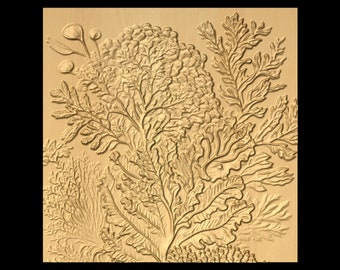 Bas-relief "Corals 5" 3D file for CNC