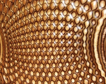 May include: Close-up of a wood surface with a brown and gold patterned design. The pattern resembles a snakeskin or a honeycomb.