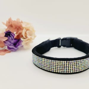 Iridescent Dog Collar
