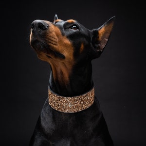 Doberman diamond collar top