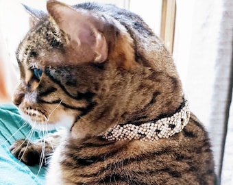 pink rhinestone cat collar