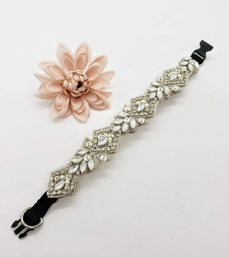 Moonstone Dog Collar Opal Dog Collars Small Crystal Dog Etsy