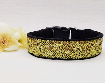 Könnte beinhalten: Ein schwarzes Hundehalsband mit goldfarbenem Glitzerbesatz. Das Halsband hat eine schwarze Schnalle.