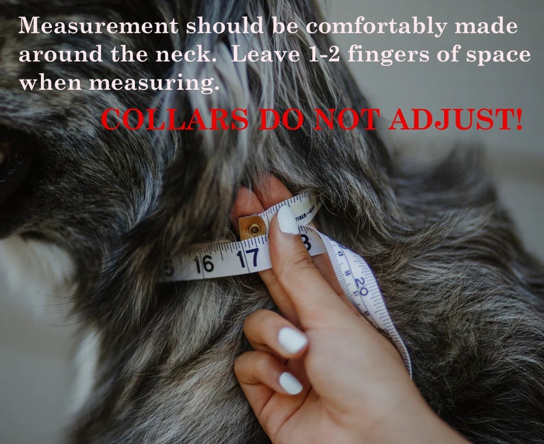 Puede incluir: Primer plano del cuello de un perro que se mide con una cinta m&eacute;trica. El texto "COLLARS DO NOT ADJUST!" es visible en letras rojas. La cinta m&eacute;trica indica 16, 17 y 18 pulgadas.