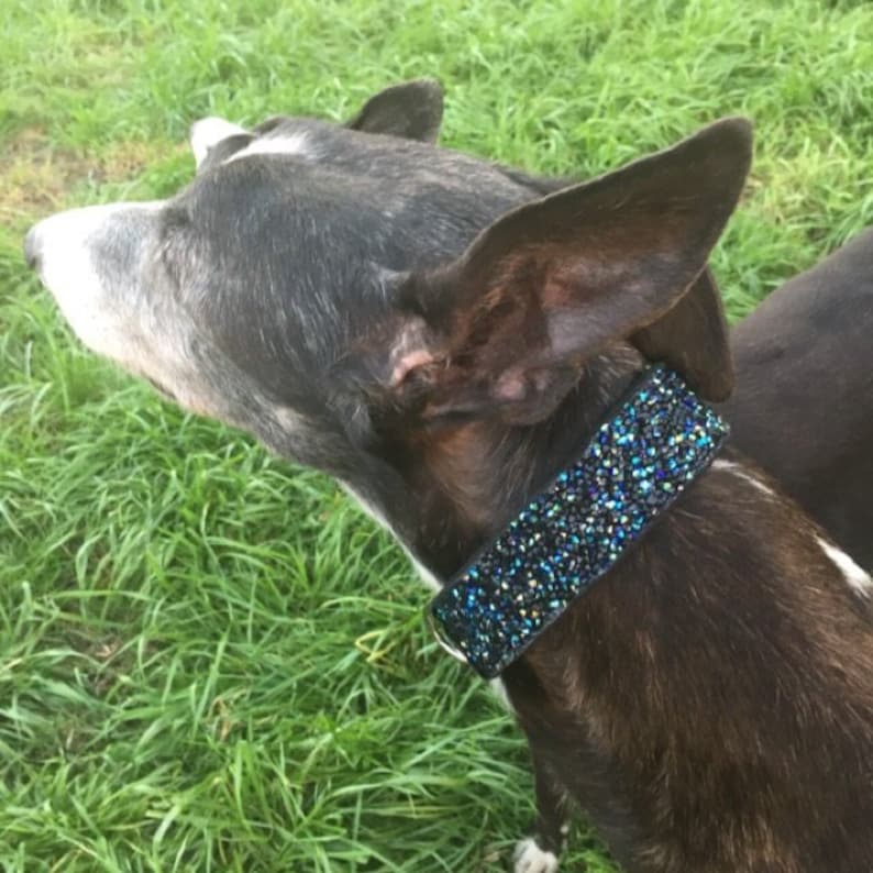 Black Gem Dog Collar; Unique Dog Collars; Iridescent Dog Collar; Medium Dog Collar; Jeweled Dog Collar; Bling Dog Collar; Black Collar