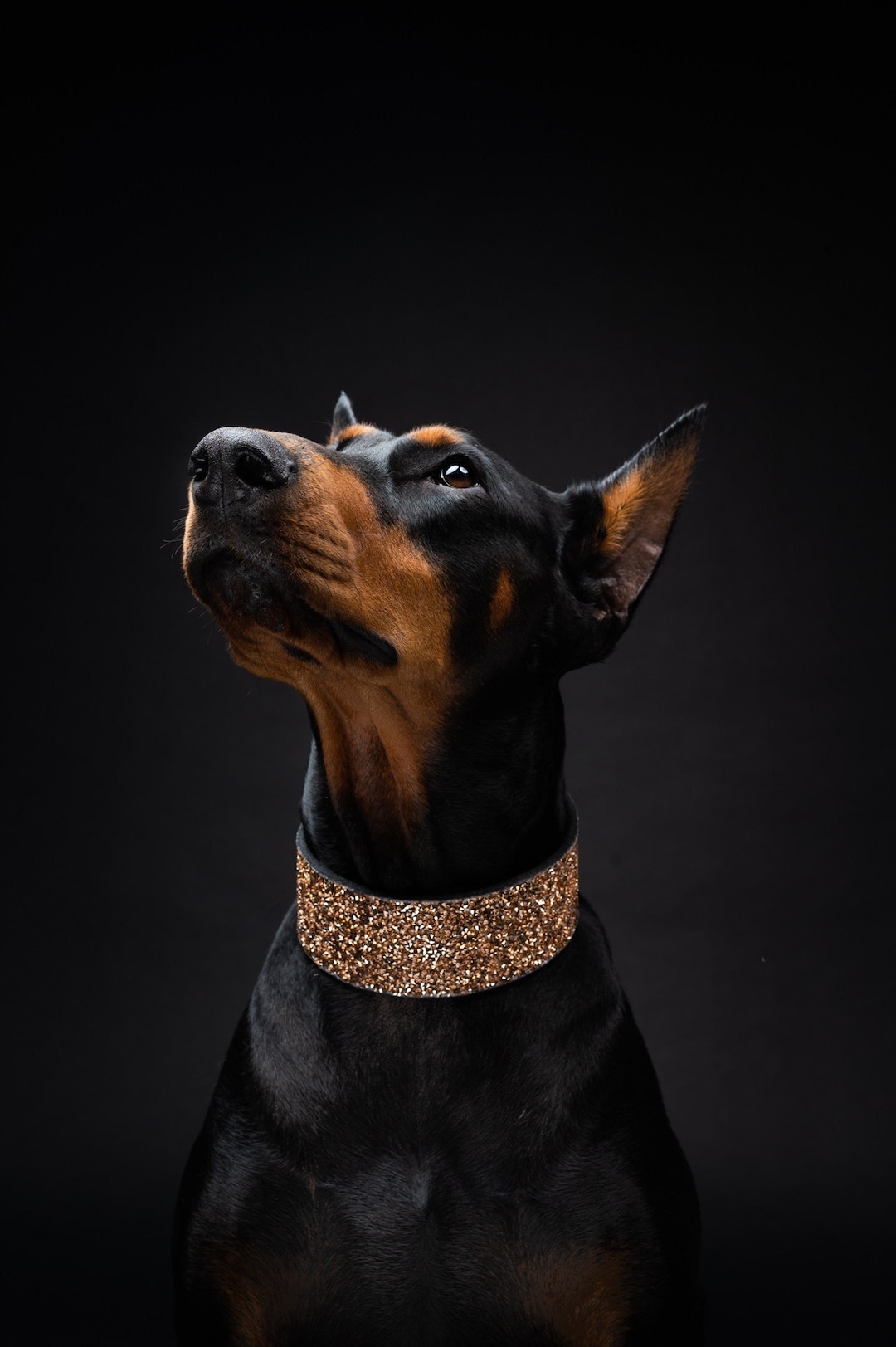 Extra Wide Rose Gold Dog Collar: Iridescent Gem, Large Breed