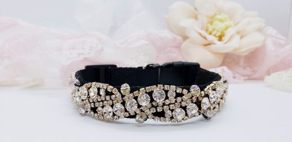 gold diamond dog collar