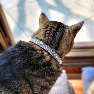May include: A brown tabby cat with a black and silver rhinestone collar is sitting on a gray cushion and looking out a window.