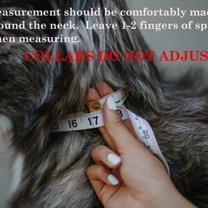 May include: A close-up of a dog's neck being measured with a tape measure. The text "COLLARS DO NOT ADJUST!" is visible in red letters. The tape measure reads 16, 17, and 18 inches.