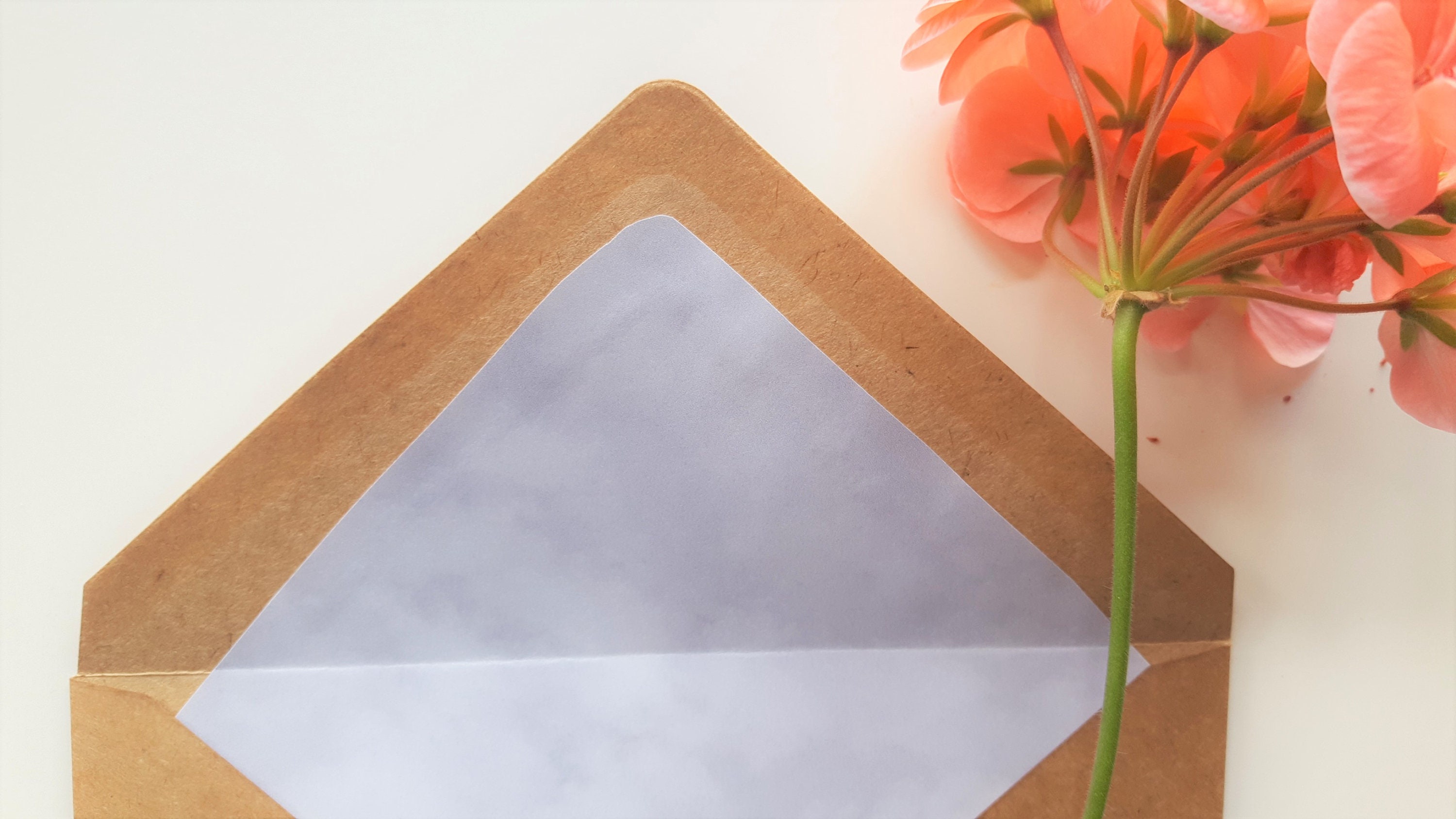 Handmade Blank Cards 5 pack Etsy