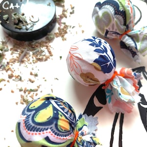 Cat Toys: includes 3 toys and catnip