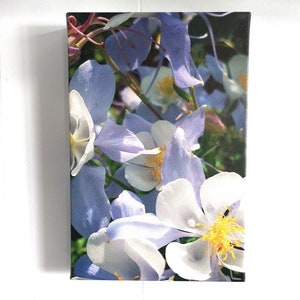 8x12in Scenic Canvas Photo