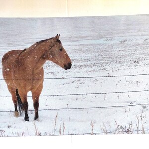 8x12in Scenic Canvas Photo