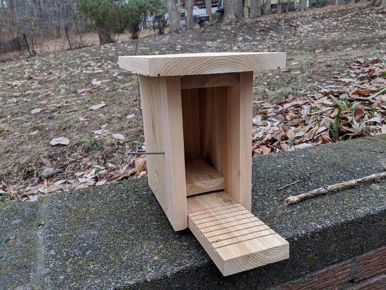 Raw Cedar Slot Style Gilwood Bluebird Nesting Box/birdhouse - Etsy