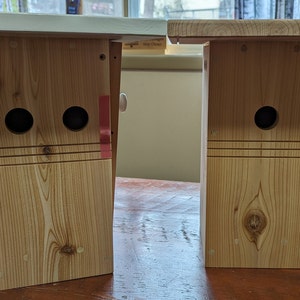 Deluxe &quot;CAMERA READY &quot; Cedar Bluebird Nest Box- Larger Interior Space with Side Access/Cleanout