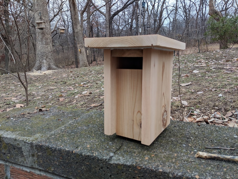 Raw Cedar Slot Style Gilwood Bluebird Nesting Box/birdhouse | Etsy