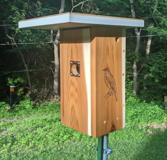Cedar camera Ready Xbox Style Birdhouse Options - Etsy