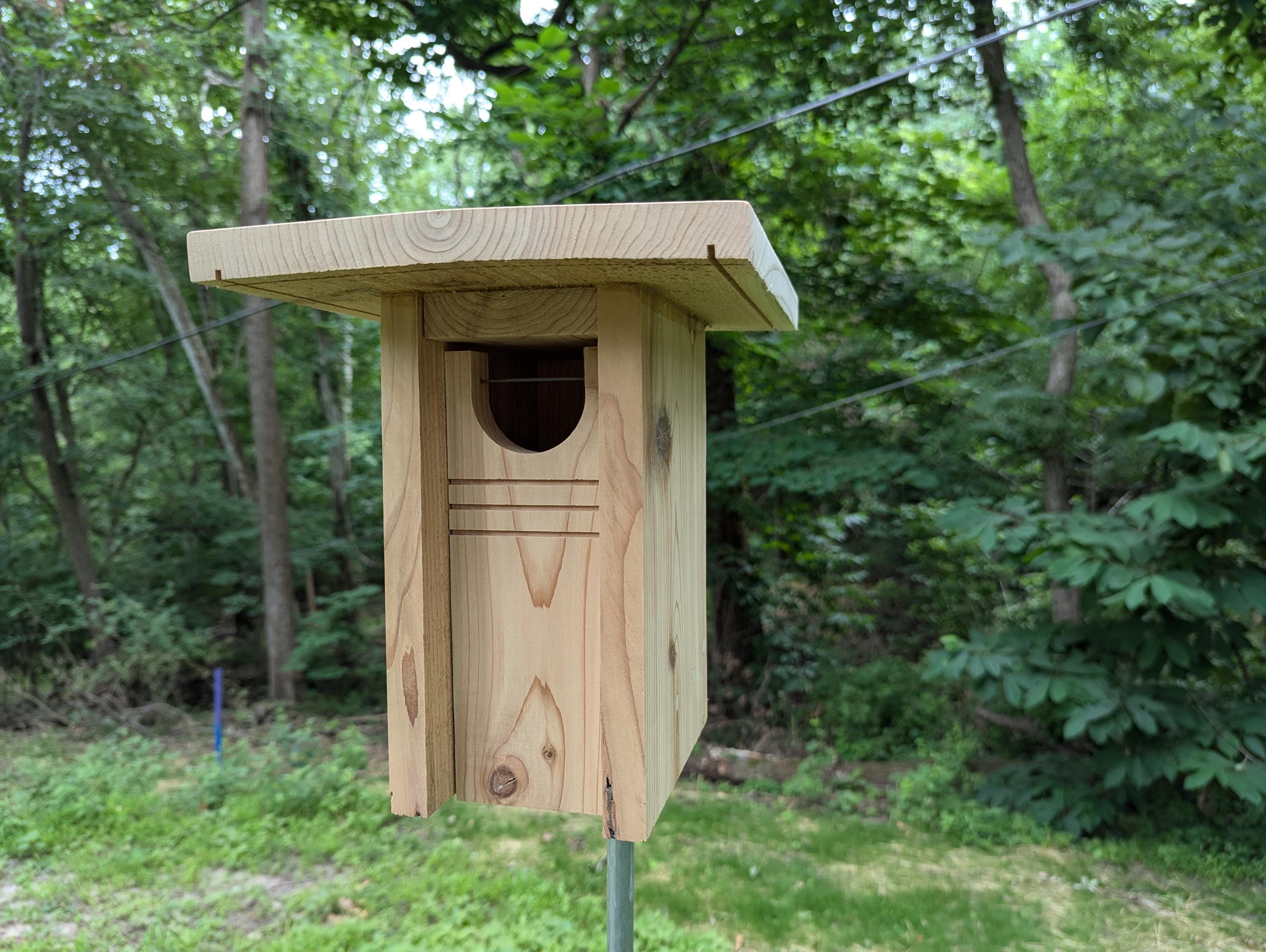 その他 GELCHOP BIRD HOUSE POST BOX Amazon.com: 4 Pieces Bluebird House Predator Guard,Wooden